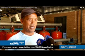 Blocuso Agricultural Cooperative – SABC News